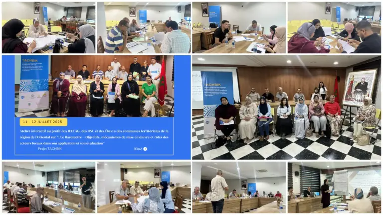 في إطار مشروع تشبيك “TACHBIK”: ورشتان تفاعليتان لفائدة أعضاء IEECAG ومنظمات المجتمع المدني ومنتخبي جماعات جهة الشرق